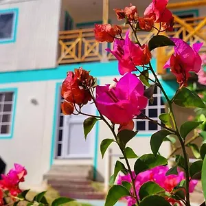Frühstückspension Colorful Garden House Providencia (Narino)